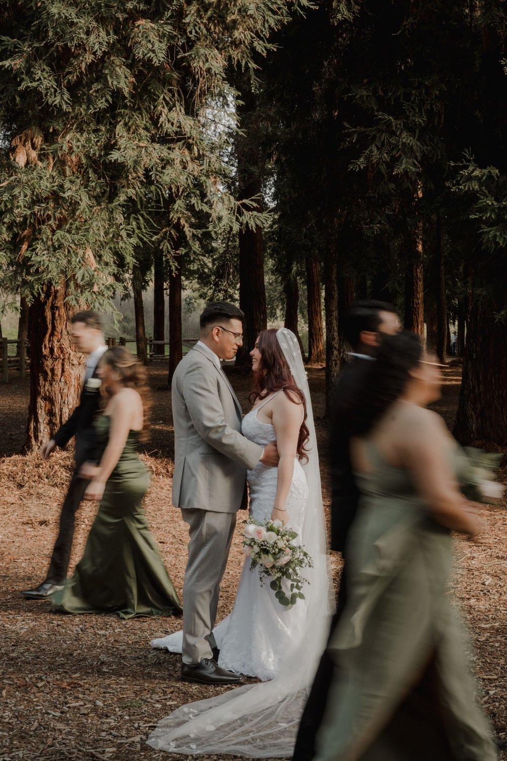 carousel-hero-element image-1